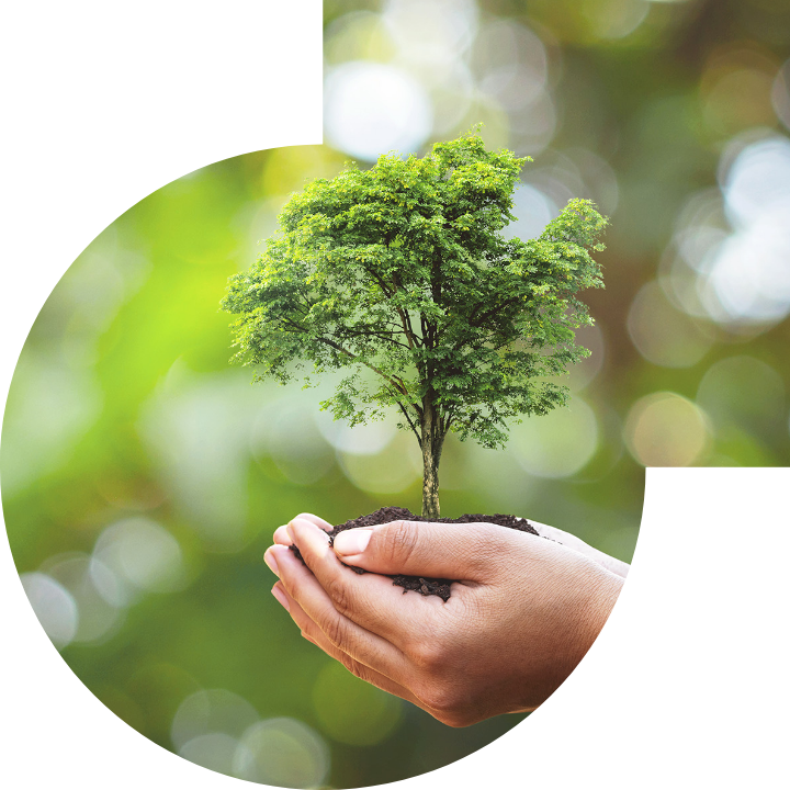 關懷人類、文化、環境與社會